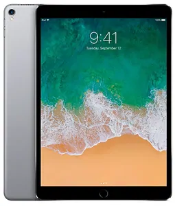 Ремонт iPad Pro 10.5' в Краснодаре